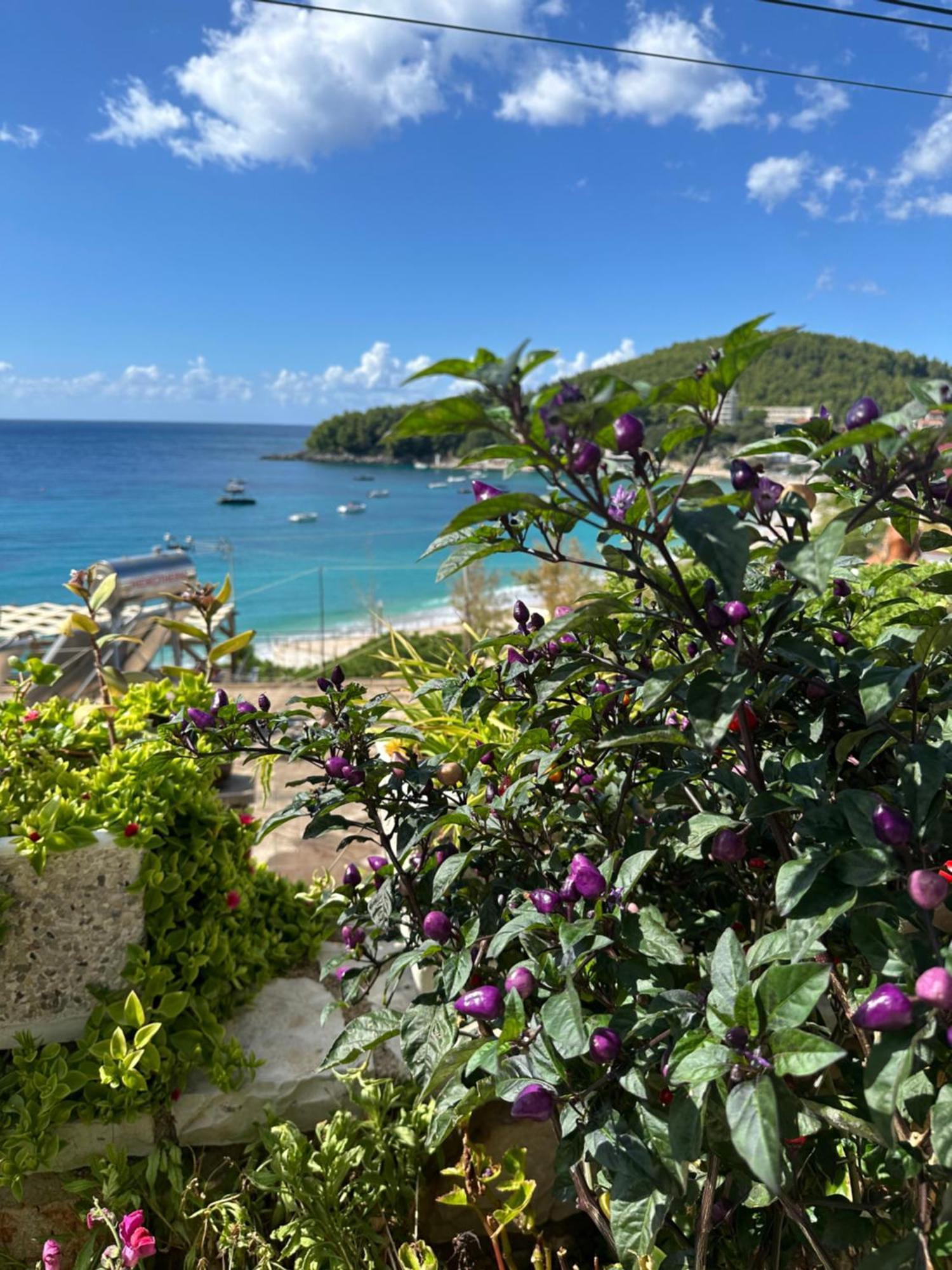 Fane'S Apartments Himare Eksteriør bilde